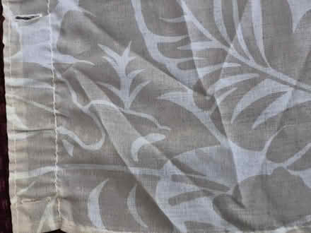 Photo of free Shower curtain (St.Louis Park) #1