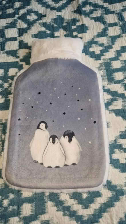 Photo of free Penguin hot water bottle (Shinfield RG2) #1