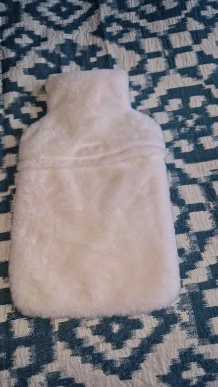 Photo of free Penguin hot water bottle (Shinfield RG2) #2