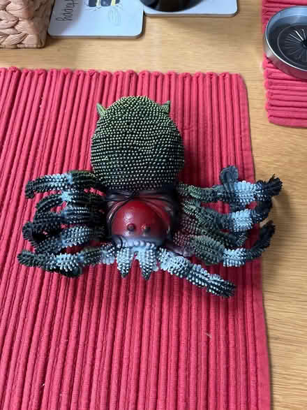 Photo of free Ten-legged ? Spider (Leckhampton) #1