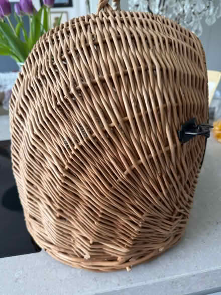 Photo of free Cat basket suitable for 1 cat (Windsor SL4) #3