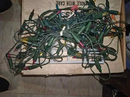 Photo of free Christmas lights (Brunswick Hills Township) #3