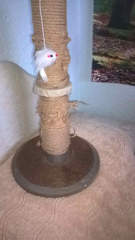 Photo of free Scratch post (Clayton West HD8) #1