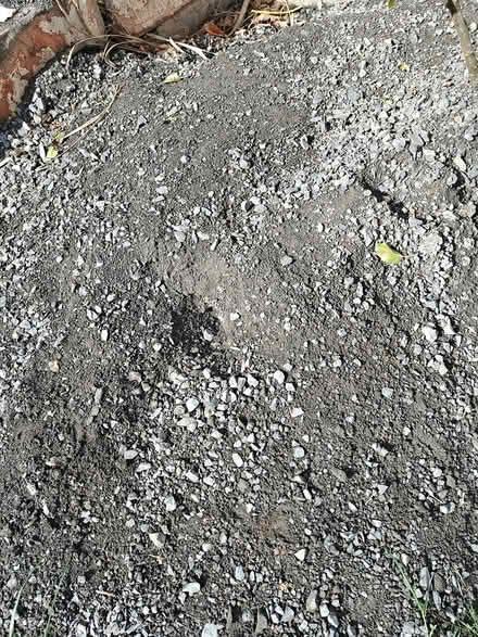 Photo of free 804 driveway or path filler (Dublin 6w) #1