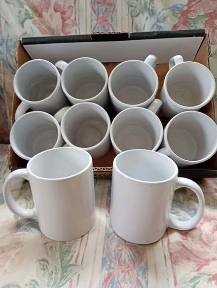 Photo of free White mugs (Orleton SY8) #1