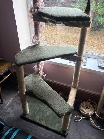 Photo of free Cat tree & cat igloo (Trehafod CF37) #1