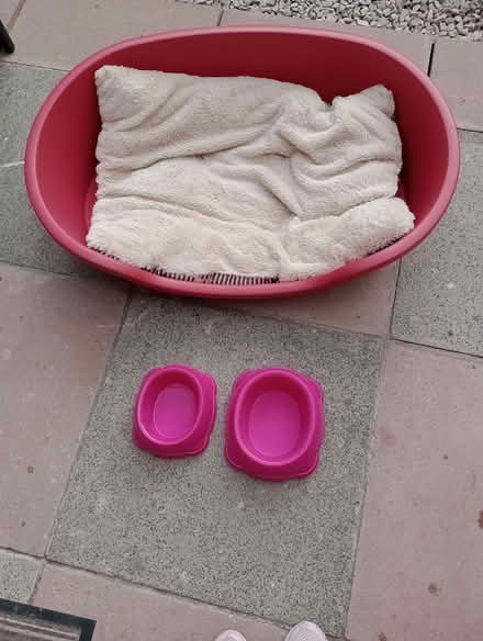 Photo of free Large dog bed + cushion + 2 dog bowls (Penwortham Lane PR1) #1