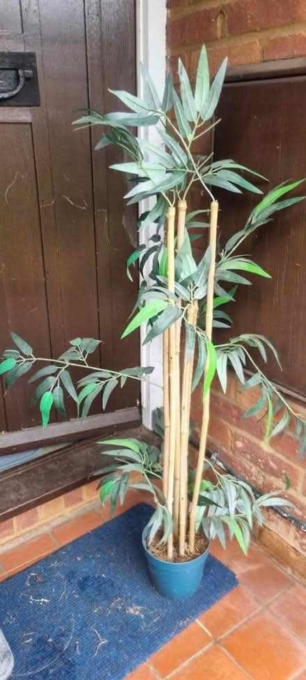 Photo of free Artificial bamboo plant (Abingdon Oxfordshire OX14) #1