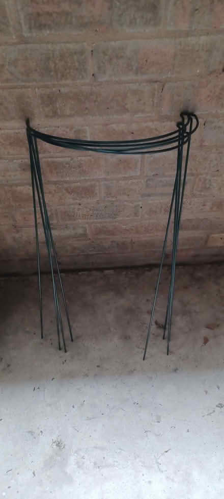 Photo of free Plant supports (Longden SY5) #1