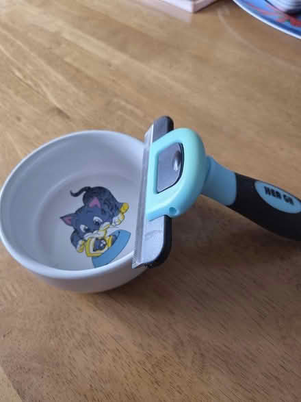Photo of free Cat bowl (Southend on sea SS2) #1