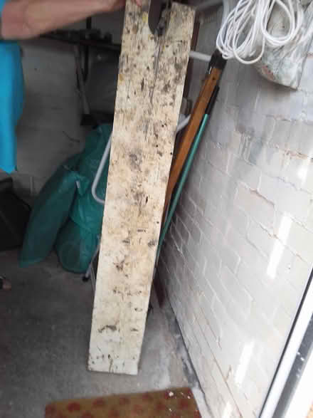 Photo of free Wooden plank (Killamarsh S21) #1