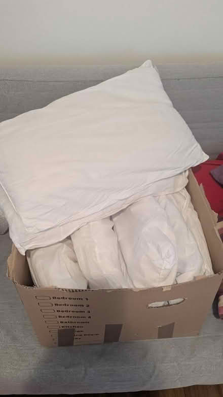 Photo of free Bed pillows (CR0) #1