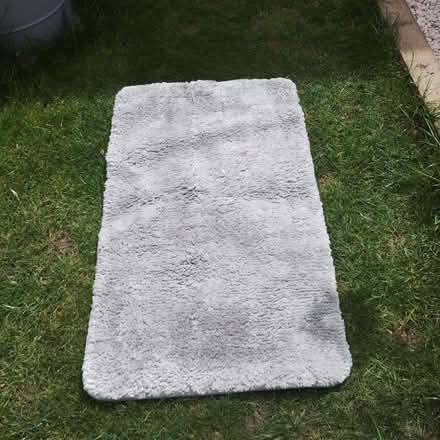 Photo of free Small Deep Pile Mat (Rayleigh SS6) #1