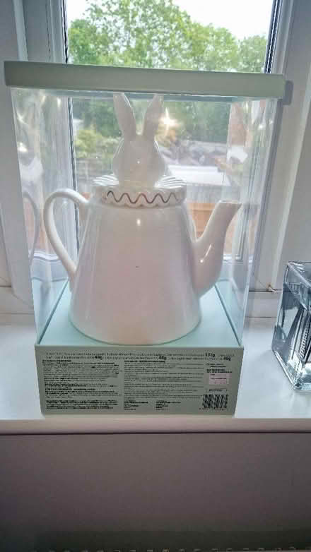 Photo of free Alice in Wonderland Teapot (Shinfield RG2) #3