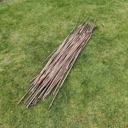 Photo of free Bamboo sticks... (Chineham RG24) #1