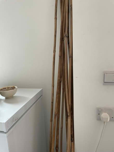 Photo of free M/L garden sticks (Wandsworth SW18) #2