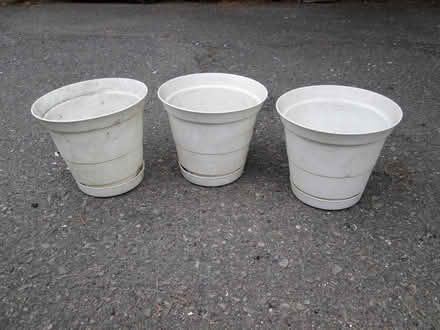 Photo of free 3 white flower pots (Old Ottawa South) #1