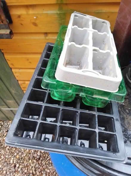 Photo of free Seed growing plugs (Killamarsh S21) #1