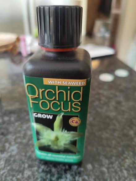 Photo of free Orchid feed (Chippenham SN15) #1