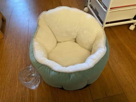 Photo of free Cat bed (Shakspeare Walk, N16) #1