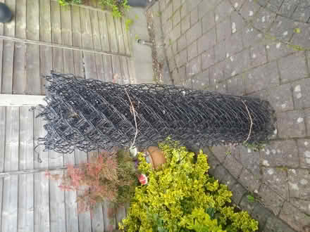 Photo of free Wire fence, netting (Whissendine. LE15) #3