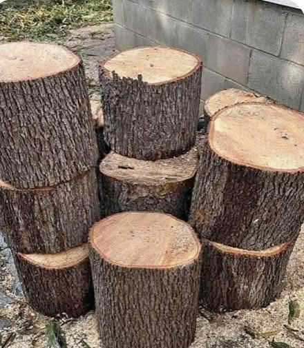 Photo of free firewood (chesterfield S41) #1