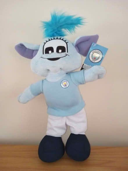 Photo of free Manchester City mascot (Elvaston Meadows DE72) #1