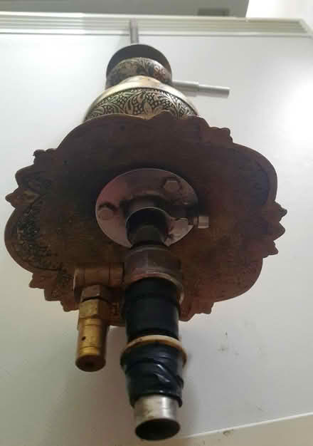 Photo of free just the head (sk164qb) #1