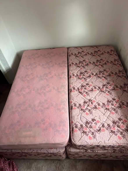 Photo of free Single beds (Broxtowe Ng8 5NL) #1