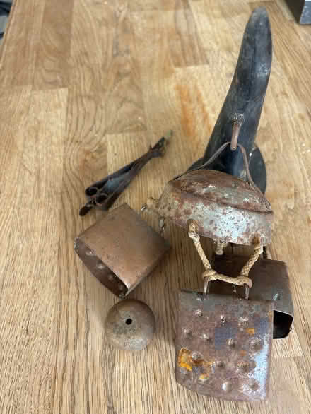 Photo of free Cow horn and bells set (Waterlooville PO7) #1