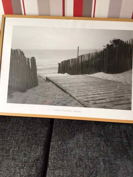 Photo of free Large picture (Wellington) #1