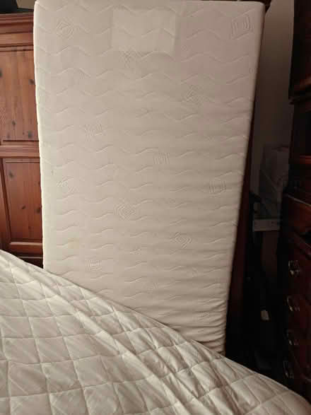 Photo of free 2 Single mattress (Sutton Road SS2) #1