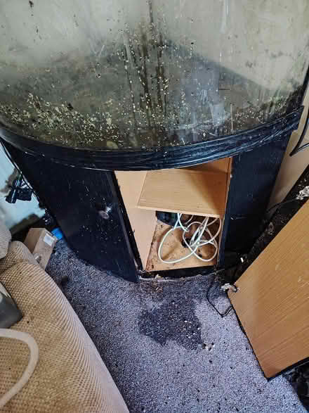 Photo of free Jewel 180 ltr corner aquarium (Portsmouth PO1) #1