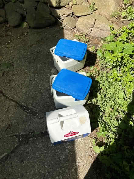 Photo of free Mini coolers and ice packs (Croton-on-Hudson) #1