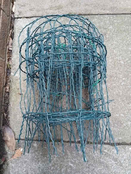 Photo of free Green Wire Border Fencing (Macclesfield SK10) #2