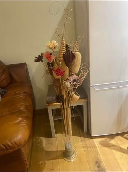 Photo of free Dried plants (Bear Flat BA2) #1