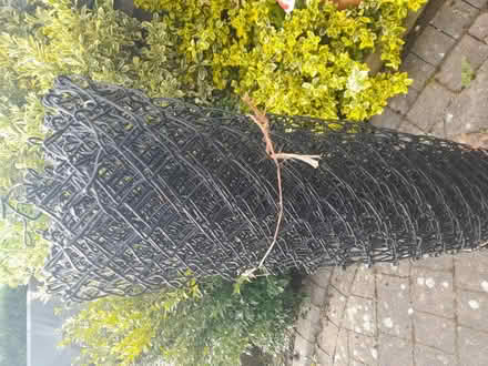 Photo of free Wire fence, netting (Whissendine. LE15) #1