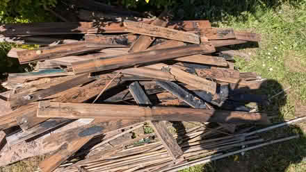 Photo of free Wood (Torrisholme LA4) #1