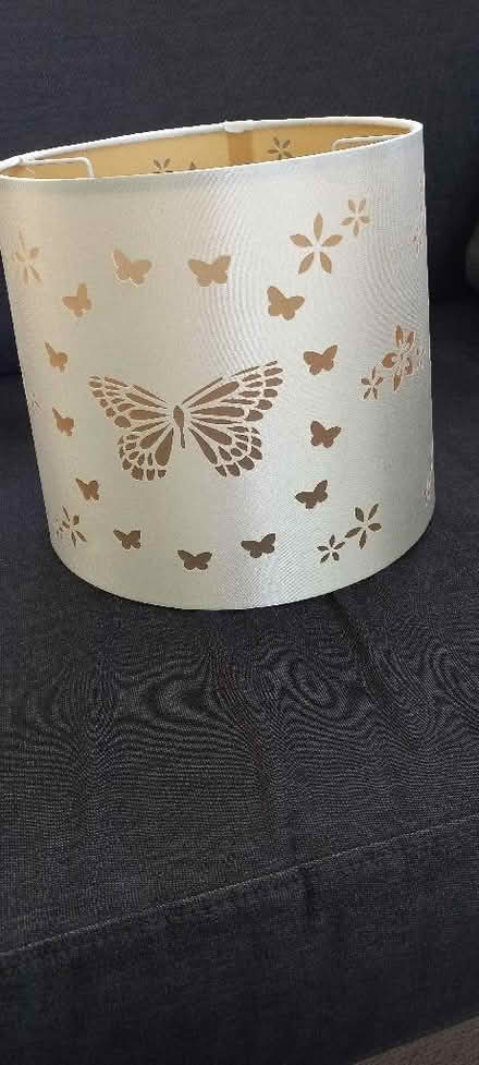 Photo of free Butterfly Lampshade (Polegate BN26) #2