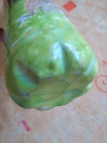 Photo of free Cute Drinking Bottle (Denton DA12) #2