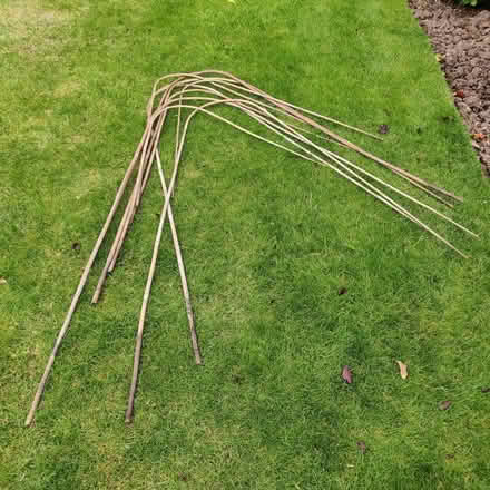 Photo of free Bamboo sticks... (Chineham RG24) #2