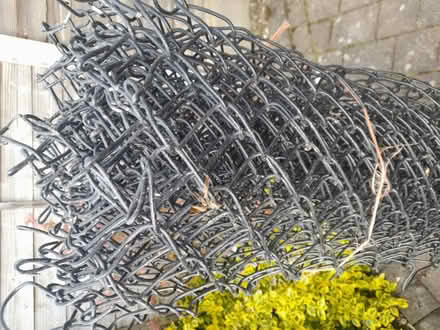 Photo of free Wire fence, netting (Whissendine. LE15) #2