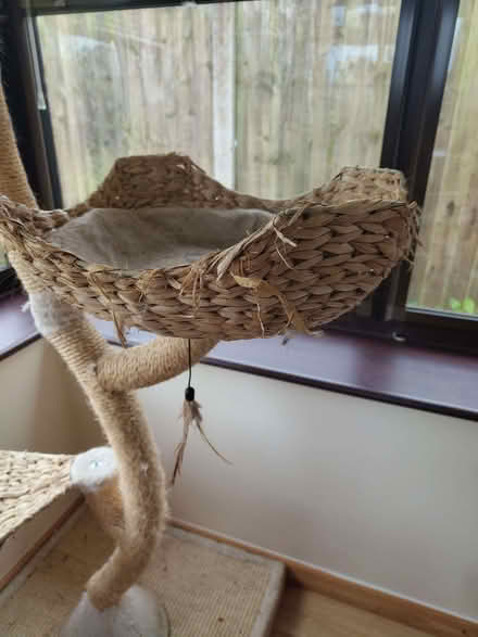 Photo of Cat Nests (Garstang PR3) #1