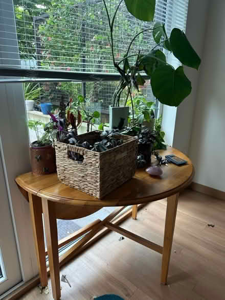 Photo of free Round 30 inch table w. drop sides (University District) #1