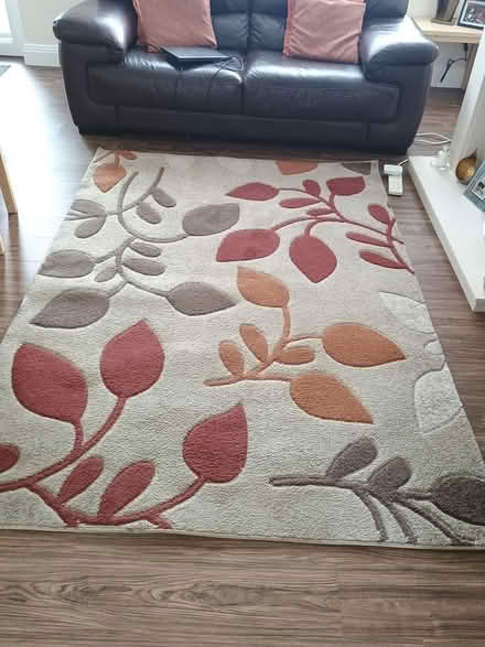 Photo of free Living Room Rug (G81 6LA) #1