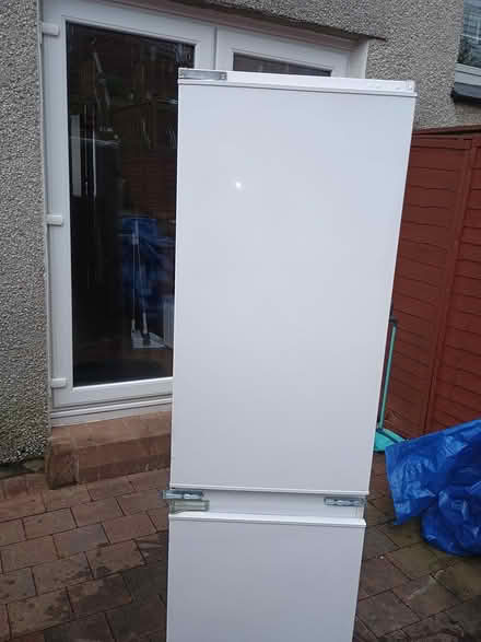 Photo of free Beko Fridge Freezer White (G81 6LA) #3