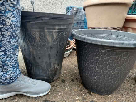 Photo of free Selection of medium to large plastic plant pots (Porchester Gardens NG3) #2