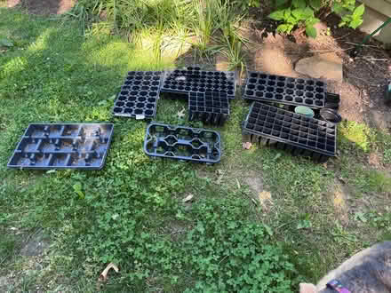 Photo of free Garden pots and seed trays (19711) #1