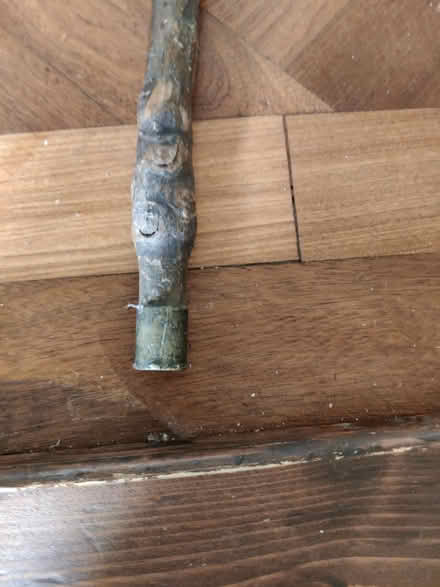 Photo of free Walking cane (Highfields ST17) #2