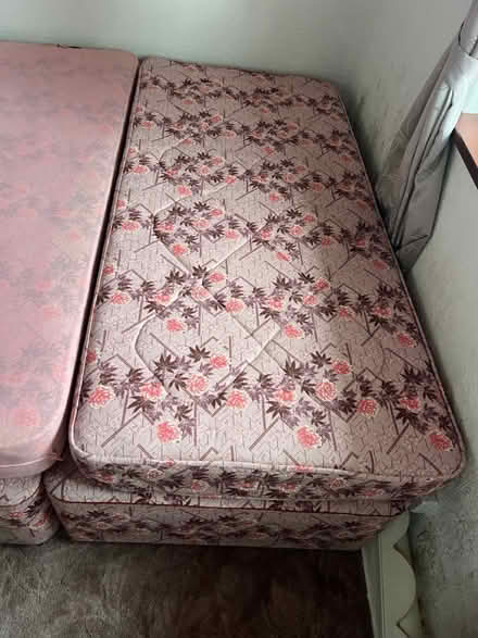 Photo of free Single beds (Broxtowe Ng8 5NL) #2